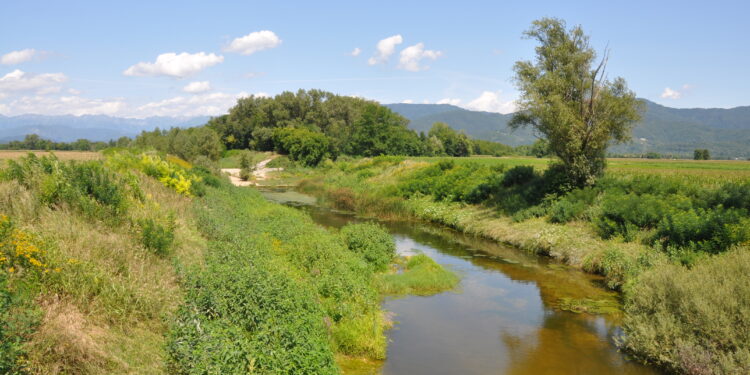 10 mila passi di salute. Nuovo percorso a Moimacco