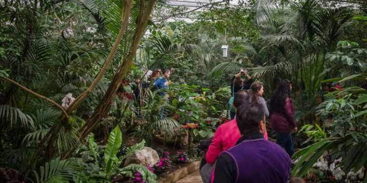 Bordano. La Casa delle Farfalle ha riaperto le sue serre