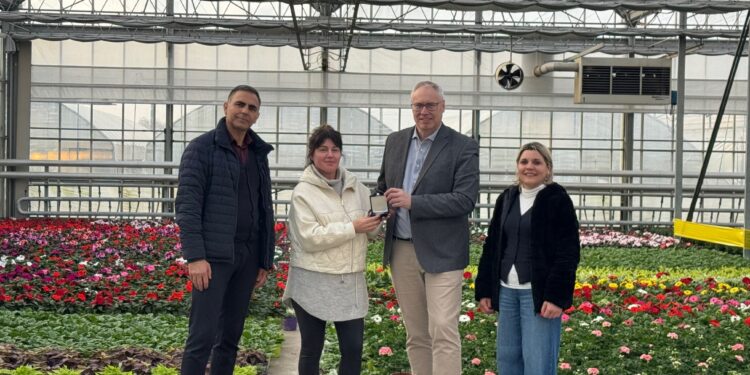 Rivignano Teor. Odorico, vivaio da 100 milioni di piante all’anno premiato a Bruxelles