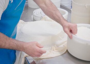 Nasce la cooperativa Latterie sociali riunite del Medio Friuli