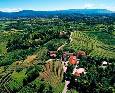 Colli orientali e Collio, storica intesa tra i consorzi