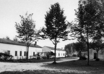 Torviscosa. Campo Pg107, libro e audioguida in 9 lingue