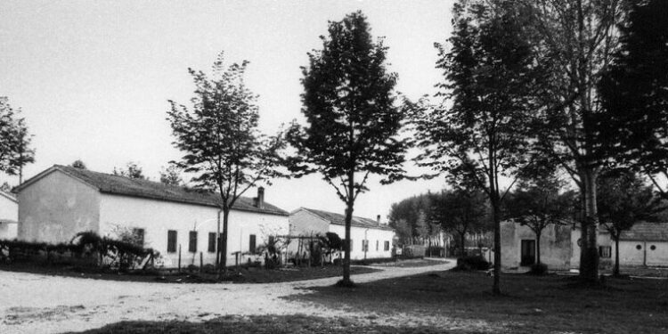 Torviscosa. Campo Pg107, libro e audioguida in 9 lingue