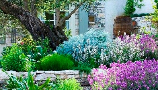 Clima che cambia? L’esperto propone il «giardino asciutto»