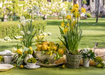 Strassoldo di Sopra. Al Castello torna “Magici intrecci” con 120 espositori da tutta Italia