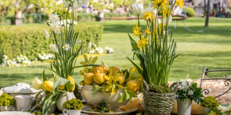Strassoldo di Sopra. Al Castello torna “Magici intrecci” con 120 espositori da tutta Italia