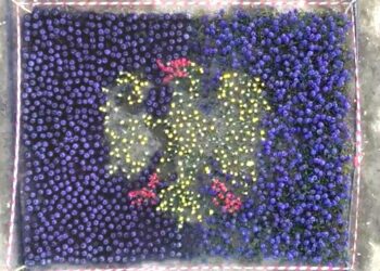 Roveredo di Varmo. Inaugurato il Giardino di tulipani di Denis. Tra i fiori, “sboccia” la bandiera del Friuli