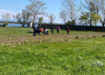 Grado. Barbana day, ripulita l’isola santuario