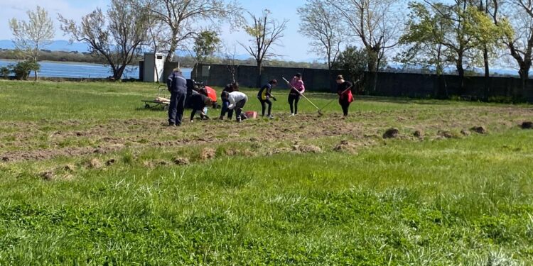 Grado. Barbana day, ripulita l’isola santuario