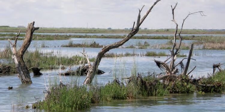 Marano. La storia dell’inquinamento della laguna in un progetto della Pro Torviscosa
