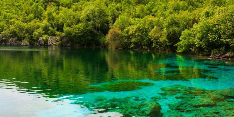 La Riserva del lago di Corinino festeggia 30 anni