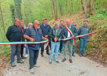 S. Leonardo. Nuova strada forestale a servizio dei castagneti
