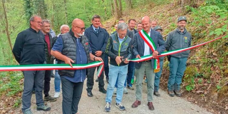 S. Leonardo. Nuova strada forestale a servizio dei castagneti