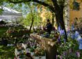 A Trieste torna “Horti Tergestini”, mostra floreale di piante e arredi per il giardino