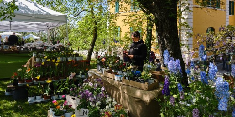 A Trieste torna “Horti Tergestini”, mostra floreale di piante e arredi per il giardino