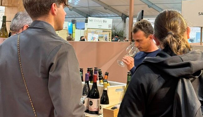 Vinitaly, l’export Fvg cresce. Gli altri calano