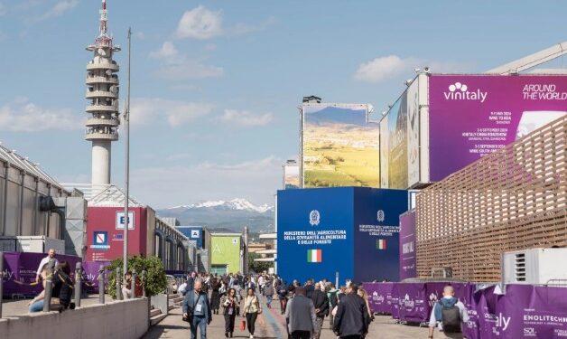 Al Vinitaly sfidando la crisi