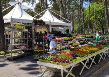 “Lignano in Fiore”, festa tra piante, fiori, artigianato, sport, musica e spettacoli