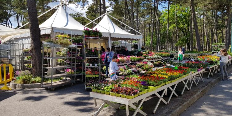 “Lignano in Fiore”, festa tra piante, fiori, artigianato, sport, musica e spettacoli