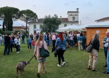 Manzano, torna l’appuntamento “Olio e dintorni”