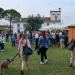 Manzano, torna l’appuntamento “Olio e dintorni”