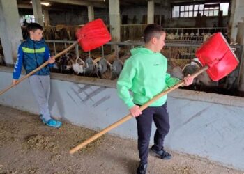 Montagna in famiglia. Giochi, sport e natura in Carnia