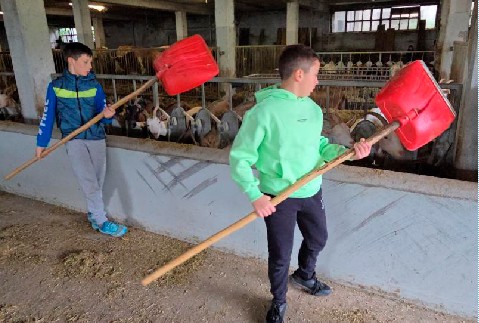 Montagna in famiglia. Giochi, sport e natura in Carnia