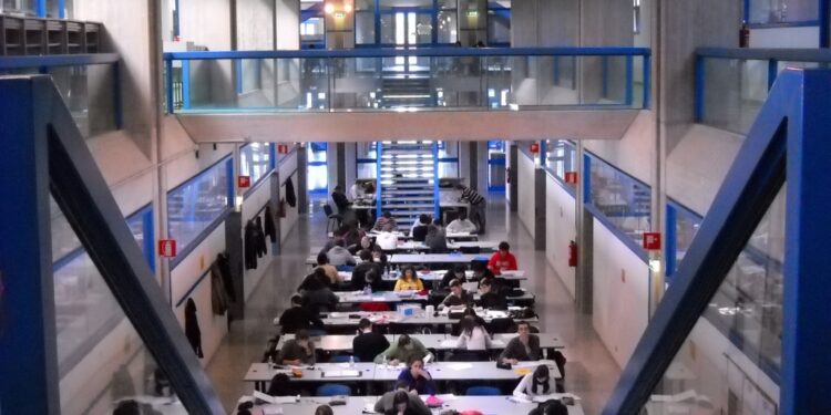 Università di Udine, a un anno dalla laurea triennale lavora l’84,2%, tre punti sopra la media italiana
