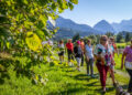 Radici, l’estate di Tarvisio tra natura, musica e tradizioni