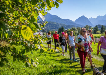 Radici, l’estate di Tarvisio tra natura, musica e tradizioni