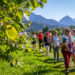Radici, l’estate di Tarvisio tra natura, musica e tradizioni