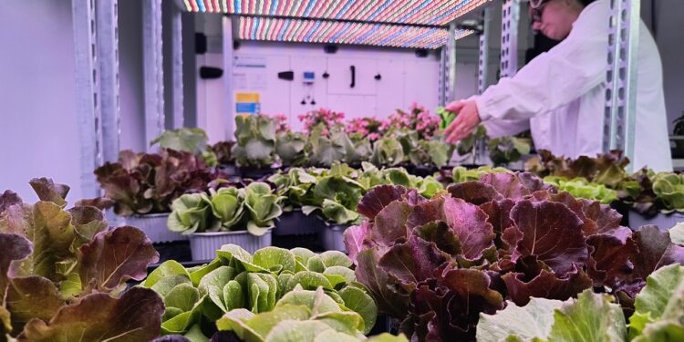 Cambiamento climatico. L’Università studia il futuro delle piante