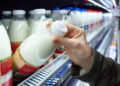 Latte: a fine anno 50 centesimi al litro. Gli allevamenti bovini guardano al futuro