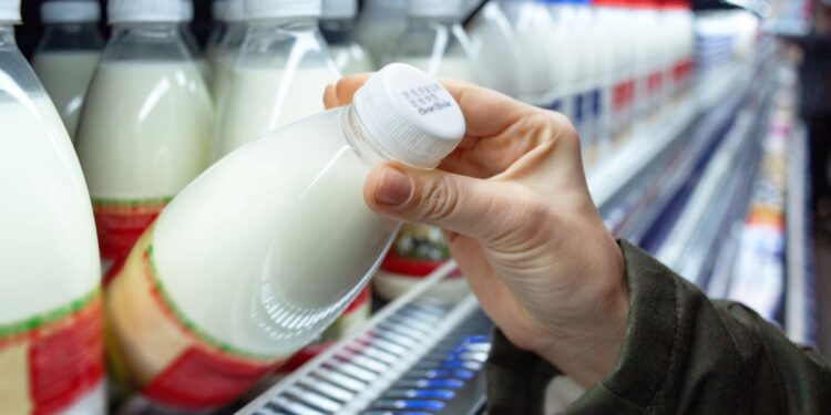 Latte: a fine anno 50 centesimi al litro. Gli allevamenti bovini guardano al futuro