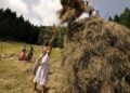 Sutrio rievoca la fienagione con “Fasjn la mede”