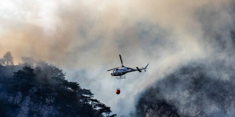 Brucia l’Amariana, l’incendio di Amaro ha ripreso vigore
