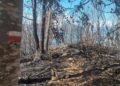 Crisi climatica, alleanza costituzionale per ripensare i modelli produttivi