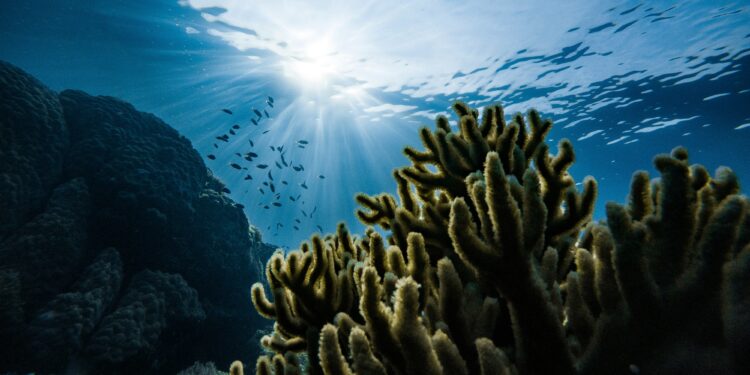 Crisi climatica e mare caldo. Il futuro è a rischio.
