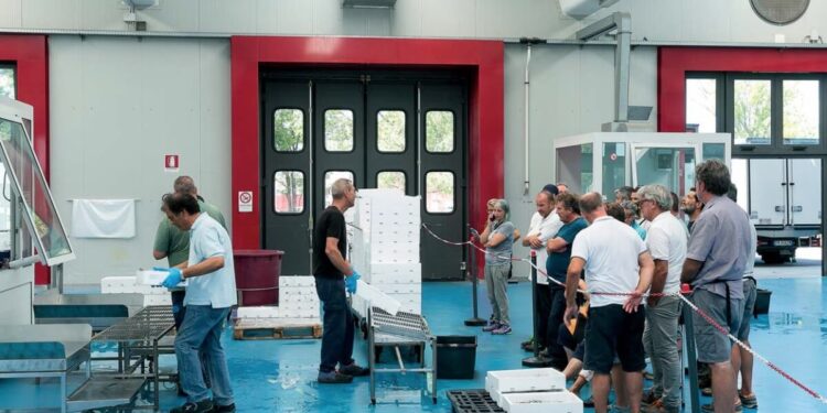 Marano Laginare. Con “Emozioni in Laguna”, anche la mostra sulla storia di Maruzzella