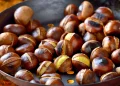 Castagne e siccità. Meno raccolto e più piccole