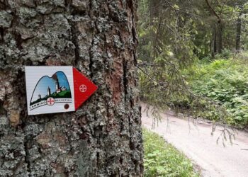 Cammino delle Pievi in gruppo, domenica 18 l’ultima tappa