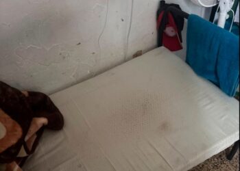Topi, materassi sudici e liquami alla Cavarzerani. «Nessuno dovrebbe vivere in queste condizioni»