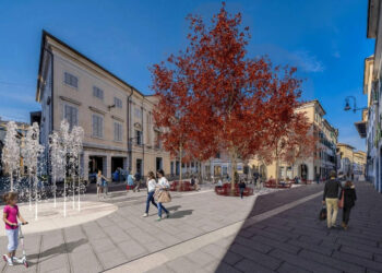 L’architetto del paesaggio: «Troppi nove alberi in piazza San Cristoforo»