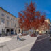 L’architetto del paesaggio: «Troppi nove alberi in piazza San Cristoforo»