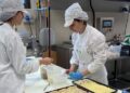 CeFAP, a Codroipo e Paluzza “Scuole Aperte” con laboratori pratici