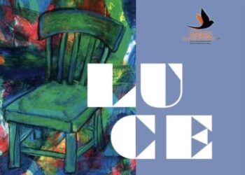 Codroipo. 20 anni di impegno di Andos raccontati nel libro “Luce”