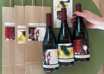 L’Archivio del sorriso, progetto di SlowDent, a fianco del “Grappolo solidale” di Fraelacco